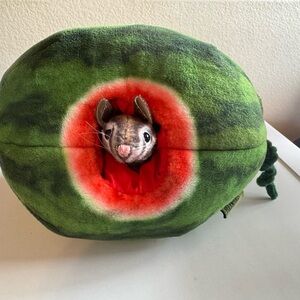 Folkmanis Plush Chipmunk in watermelon puppet